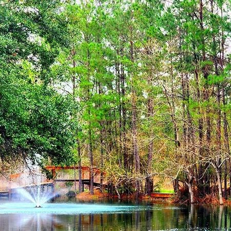 Waterfront Houston Hide Out In A Magical Forest Waller Ngoại thất bức ảnh