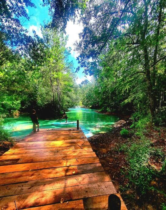 Waterfront Houston Hide Out In A Magical Forest Waller Ngoại thất bức ảnh