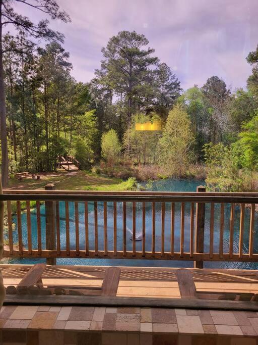 Waterfront Houston Hide Out In A Magical Forest Waller Ngoại thất bức ảnh